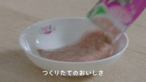 マース ジャパン CMのシーン8（00:11）