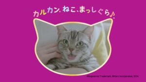マース ジャパン CMのシーン10（00:14）