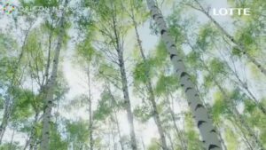ロッテ CMのシーン1（00:00）