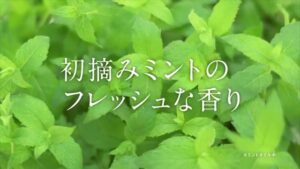 グリーンガム CMのシーン7（00:11）