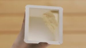 爽 CMのシーン1（00:11）
