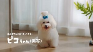 カミ商事 CMのシーン2（00:01）