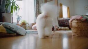カミ商事 CMのシーン5（00:06）