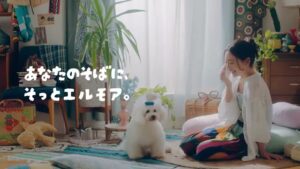 カミ商事 CMのシーン8（00:11）