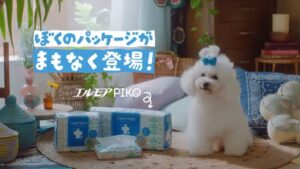 カミ商事 CMのシーン9（00:13）