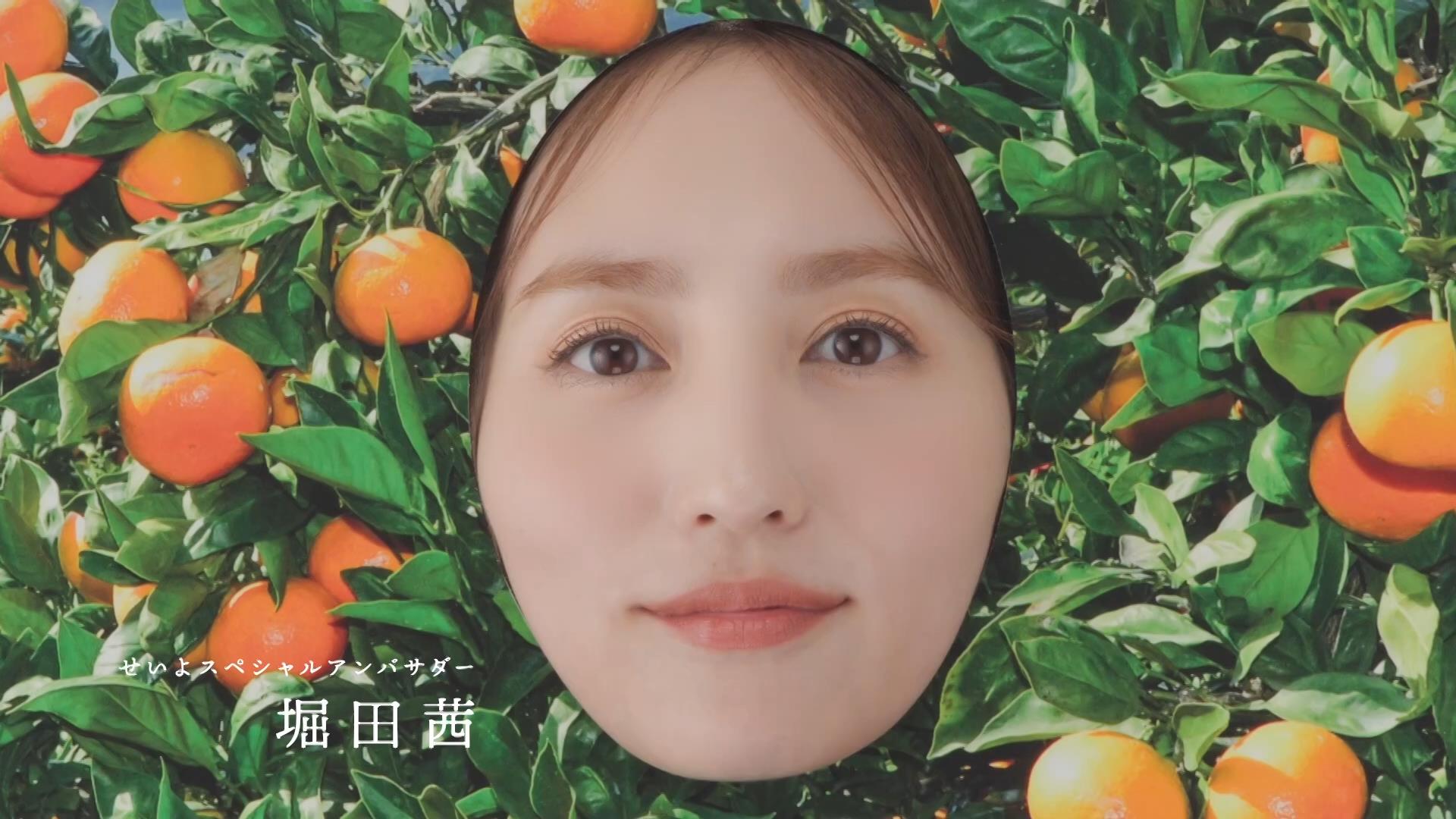 愛媛県西予市 CM セイ、いっぱい！西予市