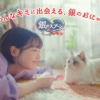 CM画像：銀のスプーン にゃんSpoon