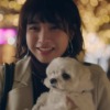 CM画像：「クリスマス」篇