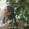 CM画像：「31種のいたわり素材」篇