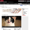 CM画像：懐石シリーズ「懐石かるた ドライ」篇 「懐石かるた スープ」篇