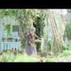CM画像：薬用 ナチュラルスカルプ DIFRESCA(ディフレスカ)