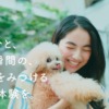 CM画像：「KARTE：小太郎とわたし」篇