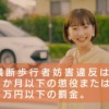 CM画像：交通安全 啓発CM「誰も止まってくれない」篇