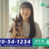CM画像：いきいき少額短期保険 SBIいきいき少短のペット保険