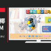 任天堂 CM カタチ新発見! 立体ピクロス2