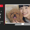 レティシアン CM モグワン「一生ものの美味しさ」篇
