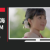 日枝神社 CM 2020年 初詣