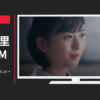 凸版印刷 CM 「ViewPaint フェルメール」篇