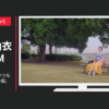 coen(コーエン) CM coen(コーエン)いつもの私、いくつもの服。 「公園」篇