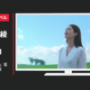 キリンビール CM 淡麗グリーンラベル 「ツリーハウス」篇「凧あげ」篇