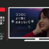西武鉄道 CM ズキュンがいっぱい！パッと西武旅 「春夏」篇「乗り物」篇等