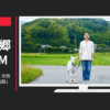 日本郵便 CM 政府保有株式第２次売出し「みんなの話題」篇