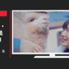 日本郵便 CM ゆうパック 「パカまじめ。」篇