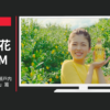 日本コカ・コーラ CM 紅茶花伝 クラフティー 「瀬戸内からやってきた」篇