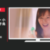 P&G CM ファブリーズ 「ティザー」篇
