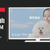 パブレ CM ほけんのパブレ