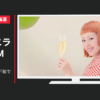チョーヤ梅酒 CM 「振り返り」篇 「和でさらり」篇