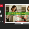 江崎グリコ CM プレミアム熟カレー 「ミスタープレ熟」篇