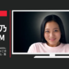 銀のさら CM ハイスピード「WOMAN」篇 四十八手「ゆりかごガリ醤油」篇「箸の光」篇