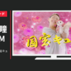 日清ペットフード CM 懐石シリーズ 「国宝キュン」篇