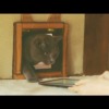 CM画像：「Cat」篇