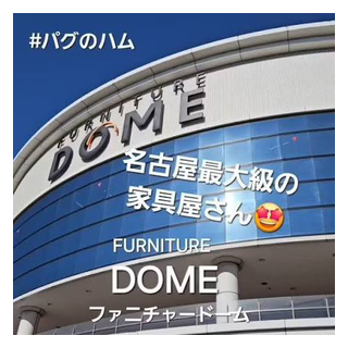 ファニチャードーム