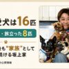 坂上忍の犬一覧！歴代16匹の名前や犬種・現在暮らす8匹を紹介【2026年版】 | ライフロ